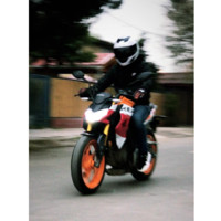 Bastian Flores