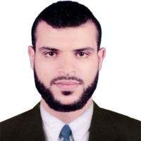 Elsayed Elahmady ( Accountant )