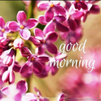 Kn Vijayashekara