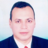 amgad elgohary
