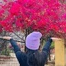 Harsha Parihar