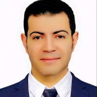 Amir D.