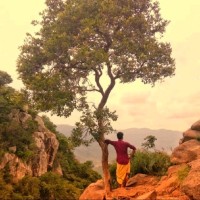 Hari Krishnan