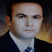 mehran salimi