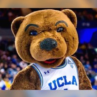 Joe Bruin