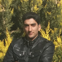 Amin Gholami
