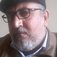 Adel Ahmed