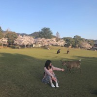 于波冰