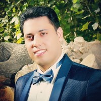 Mohammad Reza Kamali