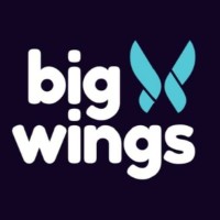 Big Wings