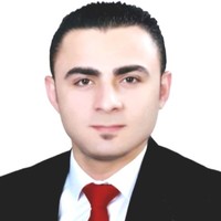 Magdi Fawzi El-Sebaei