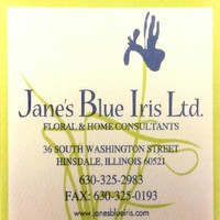 Janes Blue Iris