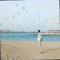 Yasser Gamal