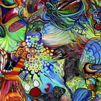 Aura Johana Lloreda Silva