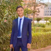 Ahmed Elbialy