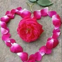 Naveed Khan
