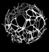 Careers Roth Architecture