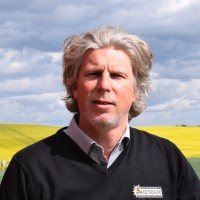 Johan Båvhammar