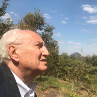 Mario Ninni Torre