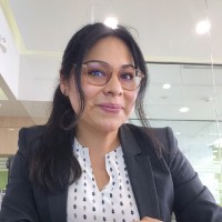 Karina De Los Santos Mendoza