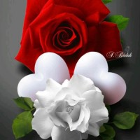 محمد رمضان