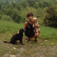 Sylvia Honeycutt