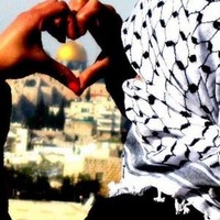 Feda Hussein