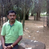 shree nee