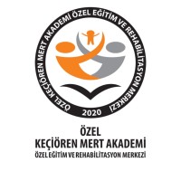 Özel Mert Akademi Özel Eğitim ve Rehabilitasyon Merkezi