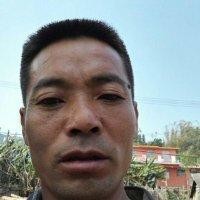 杨朝体