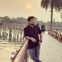 niladri ray