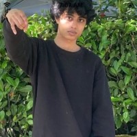 Adeel Q