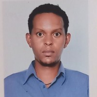 Zeray Amde