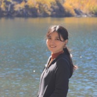 Linh Trinh