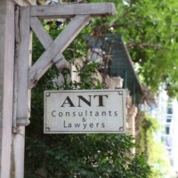 ANT Consulting