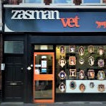 Zasman Vet