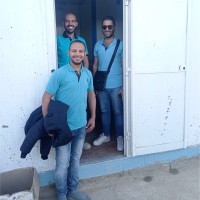 Waled Abd Altwab Mohamed