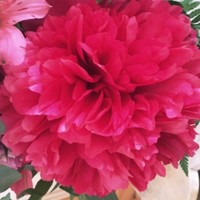 Imelda Mchugh