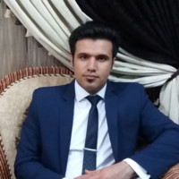 Mostafa Hosseini