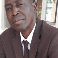 Fayali Sombie