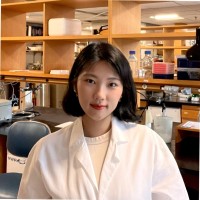 Chambit Paik