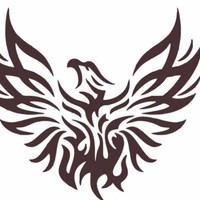 Phoenix Network PNIPL