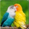 Subasree P