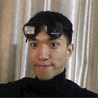 Lyon Lee