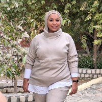 Norhan Mohamed, Pmp, Leed Ga