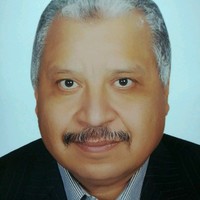 Medhat Mohamed