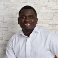 Segun Alao Pmp.