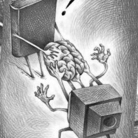 The Book Nook