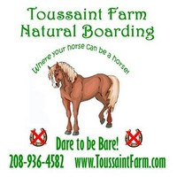 Heidi Toussaint