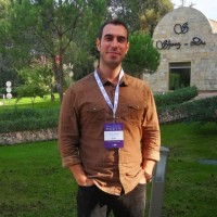 Salim Güler